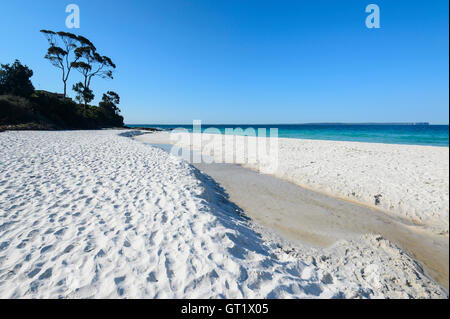 Die berühmten weißen Sandstrand von hyams Beach im malerischen Jervis Bay, New South Wales, NSW, Australien Stockfoto