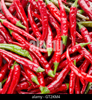 rote Chilischoten, Nahaufnahme Stockfoto