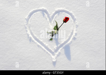 Herz mit Rose als Symbol für die Liebe im Schnee geschrieben Stockfoto