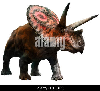 Torosaurus Stockfoto