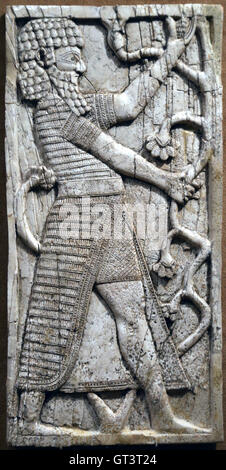 Neo-assyrischen Periode. Syrischen Stil. 9. / 8. Jahrhundert v. Chr. Nimrud (alte Kalhu), Fort Salmanassar Raum SW7. Mesopotamien. Plaque Stockfoto