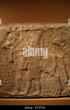 Fragment der Erleichterung. Assyrische Pferd drumherum. Kavalleristen. Detail. Ca. 704-681 v. Chr. Stockfoto