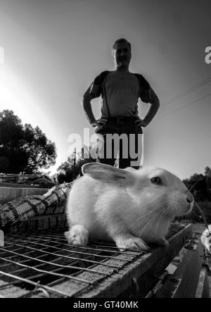Mann verkauft weiße Kaninchen auf Haustiere-Markt in der Stadt von Kosov, Ivano-Frankivsk Oblast, Ukraine Stockfoto