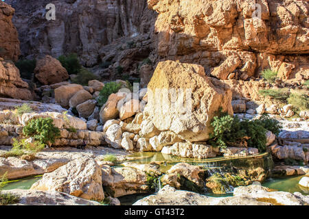 Detail des Wadi Shab in Oman Stockfoto