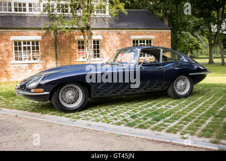 1965 Jaguar E-Typ-Fahrzeug in Bicester Heritage Centre. Oxfordshire, England Stockfoto