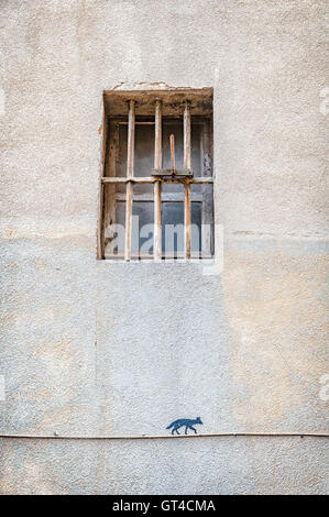 Dijon Katze auf einem Draht Stockfoto