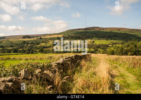 Einen malerischen Blick auf ESK auf der North Yorkshire Moors mit dem Sender im Hintergrund Stockfoto