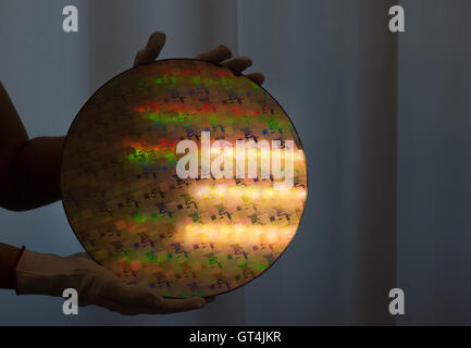 Dresden, Deutschland. 08. Sep, 2016. Ein Mitarbeiter von Globalfoundries Fab1 hält einen 22FDX Wafer während einer Pressekonferenz mit Globalfoundries in Dresden, Deutschland, 8. September 2016. Die Strom sparende FD-SOI-Technologie Produkt wurde in Dresden zum ersten Mal im Juli 2015 angekündigt und wird im Jahr 2017 auf den Markt gebracht werden. Die nächste Generation von 12FDX wurde zur gleichen Zeit eingeführt. Foto: ARNO BURGI/Dpa/Alamy Live-Nachrichten Stockfoto