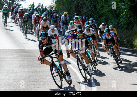 Bath, Großbritannien, 8. September 2016. Fahrer, die Teilnahme an der Tour of Britain Radrennen sind 4 km vor dem Ziel der Stufe 5 abgebildet, wie sie ihren Abfall in die Stadt Bath beginnen. 5. Etappe sah der Fahrer Rennen von Aberdare in Wales zum Bad durch Südwales und Gloucestershire überquert zu haben. Bildnachweis: Lynchpics/Alamy Live-Nachrichten Stockfoto