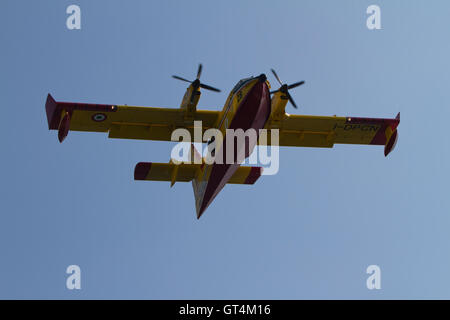 Imperia, Italien. 8. September 2016. Ein Wasser-Bombenflugzeuge Bombardier 415 (Canadair) weht über Imperia (Italien) während einer Antenne Brandbekämpfung operation Stockfoto