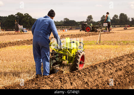 British & World Championships in Crockey Pflügen Hügel York September 2016 Stockfoto