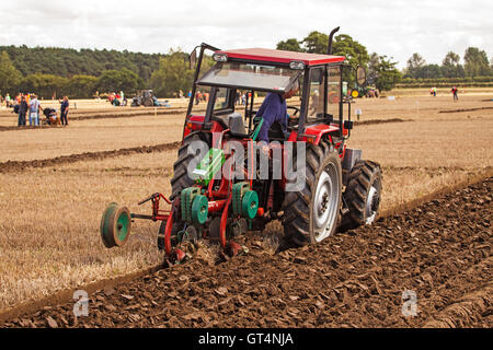 British & World Championships in Crockey Pflügen Hügel York September 2016 Stockfoto