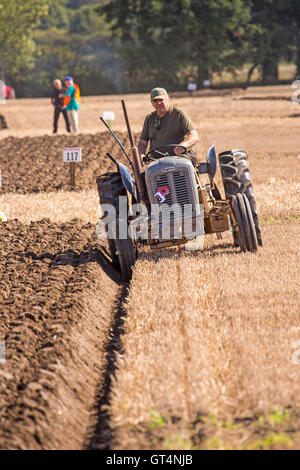 British & World Championships in Crockey Pflügen Hügel York September 2016 Stockfoto