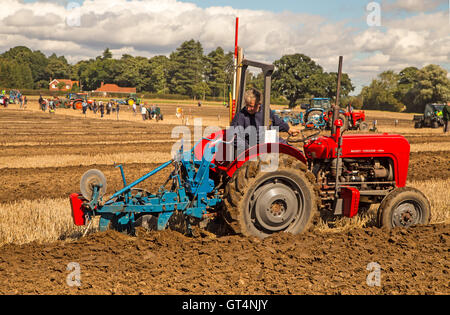 British & World Championships in Crockey Pflügen Hügel York September 2016 Stockfoto