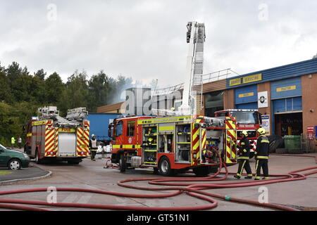 Devon, UK. 9. September 2016. Tiverton Feuer: Die Szene von einem Großbrand in den Räumlichkeiten des Warren Hughes Möbelhersteller in Ormidale Square, Tiverton Business Park, Devon, am 16.00 BST auf Freitag, 9. September 2016. Die Feuerwehr wurden bei 11,23 genannt. Fünf Stunden waren später mindestens 6 Feuerlöschfahrzeuge noch am Tatort, darunter zwei Hebebühnen. Personal in den benachbarten Einheiten wurden auch unter anderem die Räumlichkeiten der North Devon Reifen und nationalen Reifen & Autocare evakuiert. Bildnachweis: Tim Squires/Alamy Live-Nachrichten Stockfoto