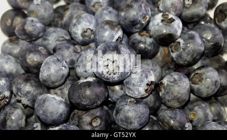 Bündel von frisch gepflückten Heidelbeeren - Nahaufnahme Schuss Stockfoto