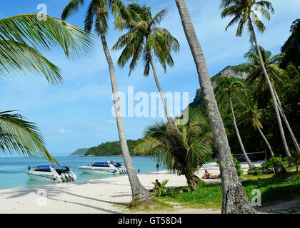 Mu Ko Ang Thong ist ein marine Nationalpark im Golf von Thailand, an den Ufern der Provinz Surat Thani. Stockfoto