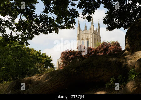 Stein-Turm und Kreuzblumen St Edmundsbury Kathedrale Bury St Edmunds, Suffolk, umrahmt von Bäumen. Ungespitzten Stockfoto
