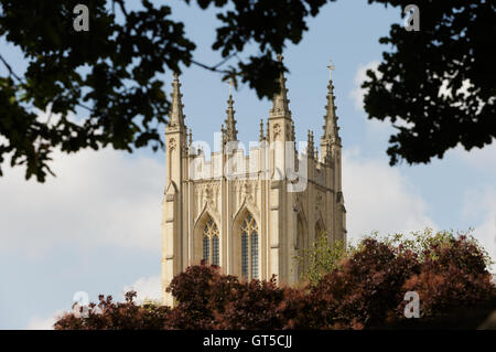 Stein-Turm und Kreuzblumen St Edmundsbury Kathedrale Bury St Edmunds, Suffolk, umrahmt von Bäumen. Ungespitzten Stockfoto