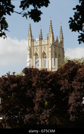 Stone tower und Kreuzblumen St Edmundsbury Kathedrale Millennium tower Bury St Edmunds Suffolk. Ungespitzten Stockfoto