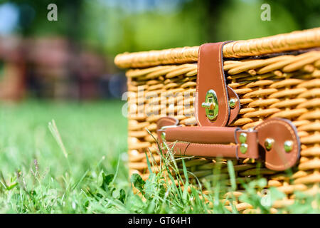 Korb Picknickkorb mit Ledergriff In Grasgrün Stockfoto