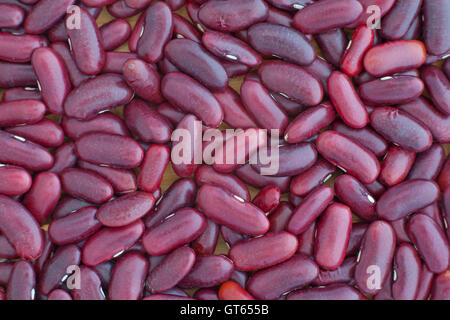 Dunkle rote Kidney-Bohnen-Hintergrund Stockfoto