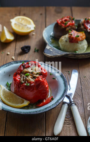 Paprika gefüllt mit Fleisch, Reis und Sauce auf Teller, selektiven Fokus Stockfoto