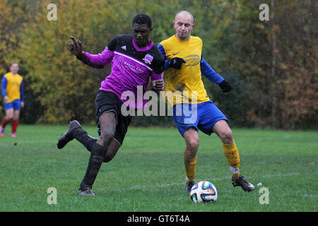 RL United (lila/schwarz) Vs Niva-Unistream - Hackney & Leyton Sonntag Fußball-Liga im Süden Marsh, Hackney Sümpfe, London - 23.11.14 Stockfoto