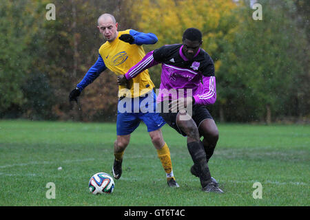 RL United (lila/schwarz) Vs Niva-Unistream - Hackney & Leyton Sonntag Fußball-Liga im Süden Marsh, Hackney Sümpfe, London - 23.11.14 Stockfoto