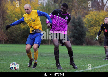 RL United (lila/schwarz) Vs Niva-Unistream - Hackney & Leyton Sonntag Fußball-Liga im Süden Marsh, Hackney Sümpfe, London - 23.11.14 Stockfoto