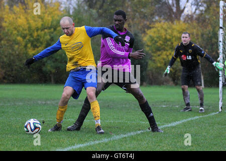 RL United (lila/schwarz) Vs Niva-Unistream - Hackney & Leyton Sonntag Fußball-Liga im Süden Marsh, Hackney Sümpfe, London - 23.11.14 Stockfoto