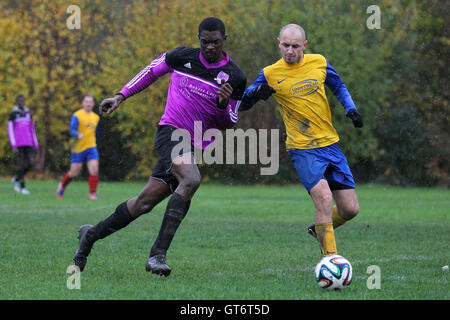 RL United (lila/schwarz) Vs Niva-Unistream - Hackney & Leyton Sonntag Fußball-Liga im Süden Marsh, Hackney Sümpfe, London - 23.11.14 Stockfoto