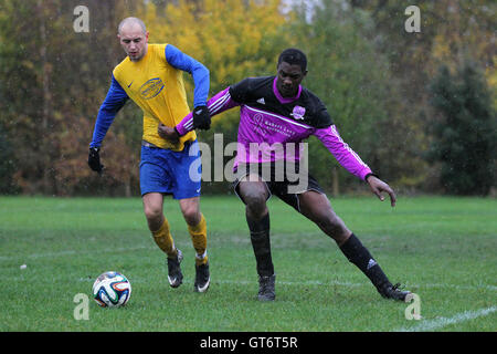 RL United (lila/schwarz) Vs Niva-Unistream - Hackney & Leyton Sonntag Fußball-Liga im Süden Marsh, Hackney Sümpfe, London - 23.11.14 Stockfoto