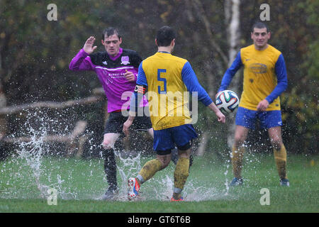 RL United (lila/schwarz) Vs Niva-Unistream - Hackney & Leyton Sonntag Fußball-Liga im Süden Marsh, Hackney Sümpfe, London - 23.11.14 Stockfoto