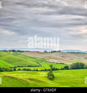 Toskana, Landschaft im ländlichen Raum. Landschaft-Ackerland, Bäume, grüne Wiese und Cloud. Orcia-Tals, Toskana, Italien, Europa. Stockfoto