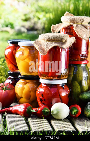 Gläser mit eingelegtem Gemüse und Obst im Garten. Marinierte Lebensmittel. Stockfoto