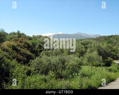 Höhle des Zeus, Mt. Ida, Kreta, Griechenland Stockfoto