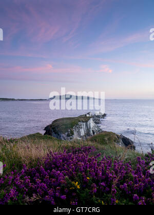 Blick vom Sherkin Island nach Cape Clear island Stockfoto