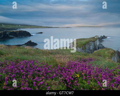 Blick vom Sherkin Island nach Cape Clear island Stockfoto