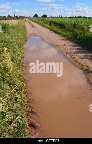 Große braune Pfütze auf der Landstraße nach Regen in Landschaft Stockfoto