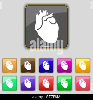 Menschliches Herz Symbol Zeichen. Set mit elf farbigen Buttons für Ihre Website. Vektor Stock Vektor