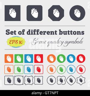 Menschliches Herz Symbol Zeichen. Große Reihe von bunten, vielfältigen und qualitativ hochwertigen Tasten. Vektor Stock Vektor