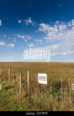 Warnschild an einen Zaun um ein Nistplatz für Mais Ammern in Cornwall. Stockfoto