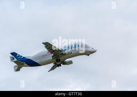 Airbus Beluga-Fracht-Transporter. Beluga Nummer drei Stockfoto