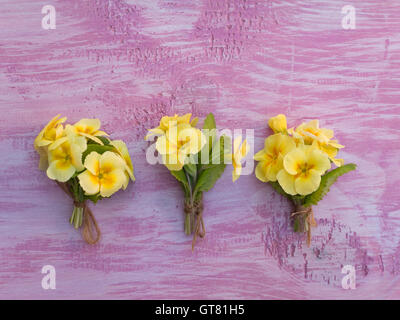 Drei gelbe Primel Blumensträuße gebunden mit Jute Seil auf die violetten lackierten Holzplatte Stockfoto