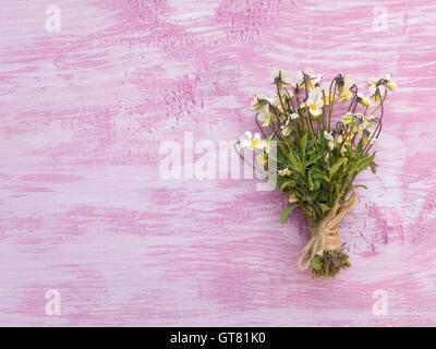 Wilde Stiefmütterchen Blüten Strauß gebunden mit Jute Seil auf dem rustikalen violett gemalten Hintergrund Stockfoto