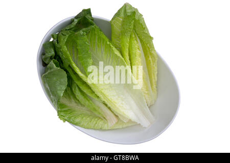 Nahaufnahme sauber gewaschen frische gesunde Römersalat auf weiße Schüssel, Isolated on White Bowl Stockfoto