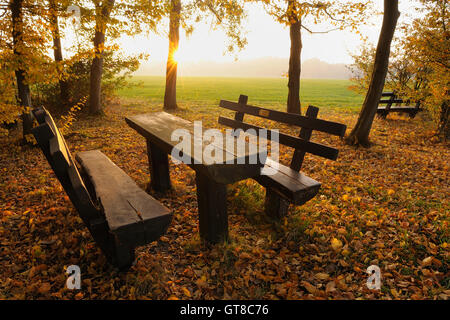 Picknickplatz in Park, Odenwald, Hessen, Deutschland Stockfoto