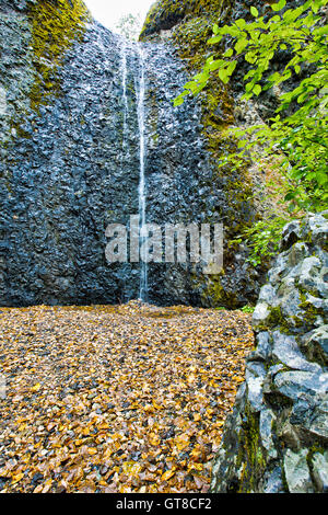 Blick vom unteren Rand der Schachtelhalm fällt, Yakima, Washington, USA abstürzende einer Basalt-Klippe in einen kleinen Pool unten mit Stockfoto