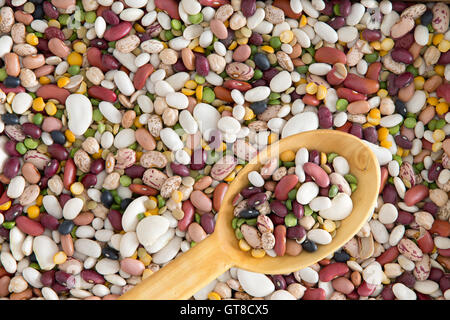 Hintergrund der 15 verschiedene Bohnen und Hülsenfrüchte mit einem Löffel in einem Holzlöffel einschließlich Niere, Lima, schwarzäugige, gelbes Auge, ga Stockfoto